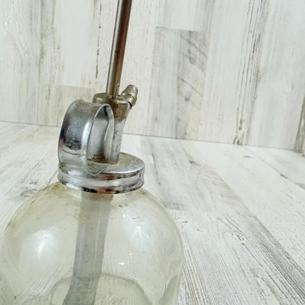 Vintage Glass Chrome Plant Mister Spray Bottle Plant Spritzer Taiwan